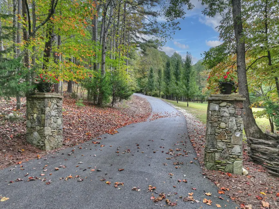 1875 Daves Road, Morganton, GA 30560 - #3