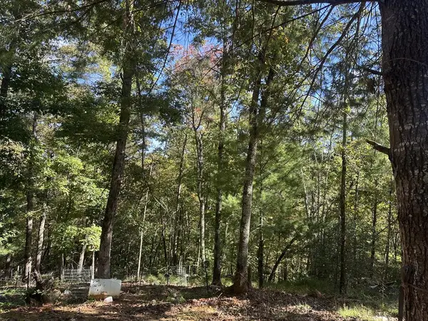 237 Hillendale Lane, Murphy, NC 28906