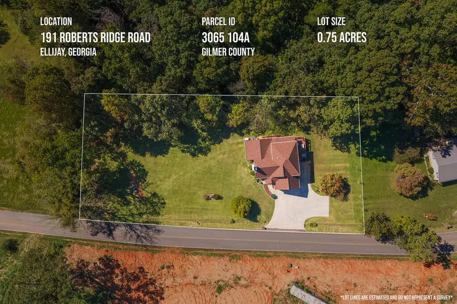 191 Roberts Ridge, Ellijay, GA 30540 - #3