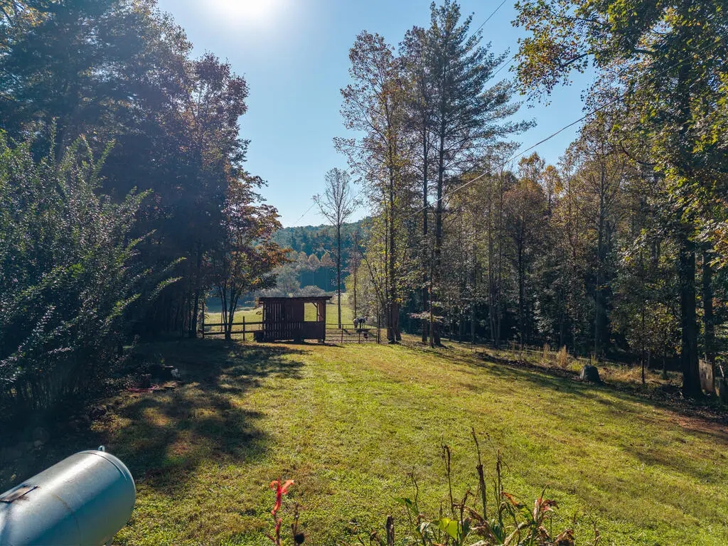 1099 Lickskillet Circle, Epworth, GA 30541 - #1
