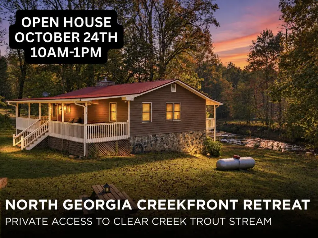 372 Misty Valley Lane, Ellijay, GA 30536 - #1