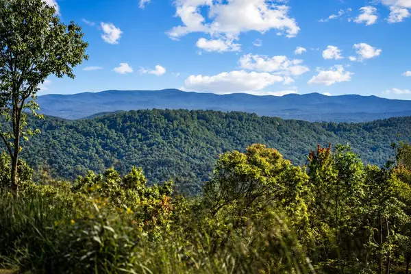 LT 26 Stone Fly Close Road, Ellijay, GA 30536