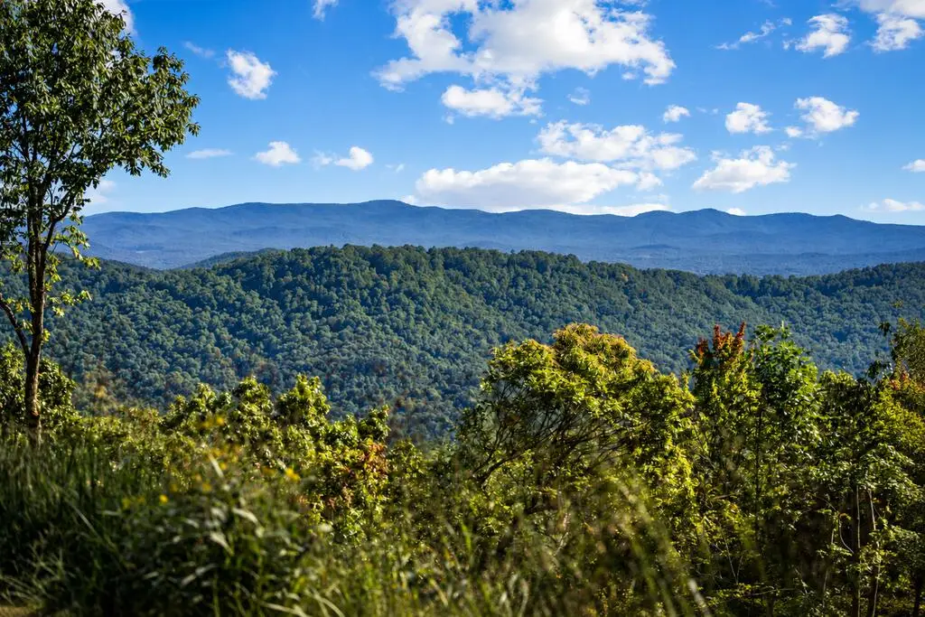 LT 27 Stone Fly Close Road, Ellijay, GA 30536 - #1