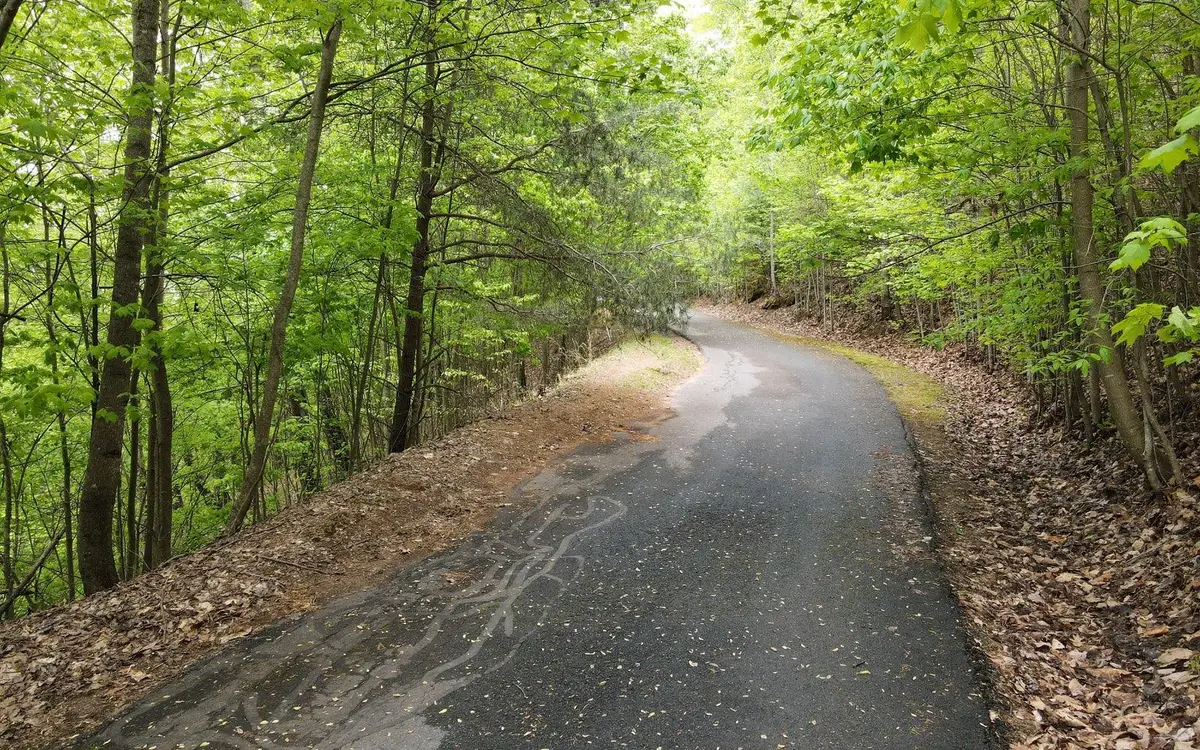 119 Croft Mountain Road, Blairsville, GA 30512 - #1