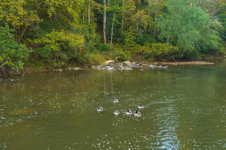 Lot 783R Matrix Circle, Ellijay, GA 30540 - #2