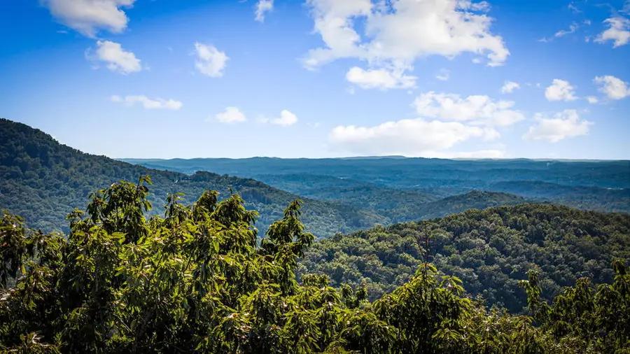 LT 29 Stone Fly Close Road, Ellijay, GA 30536 - #3