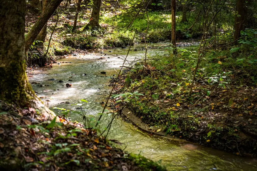 LT 3 Pheasant Tail Trace, Ellijay, GA 30536 - #2