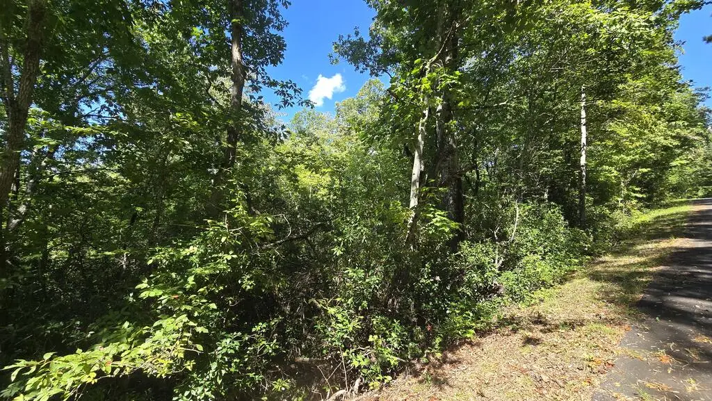 Lot 1B Victoria Woods, Hiawassee, GA 30546 - #1