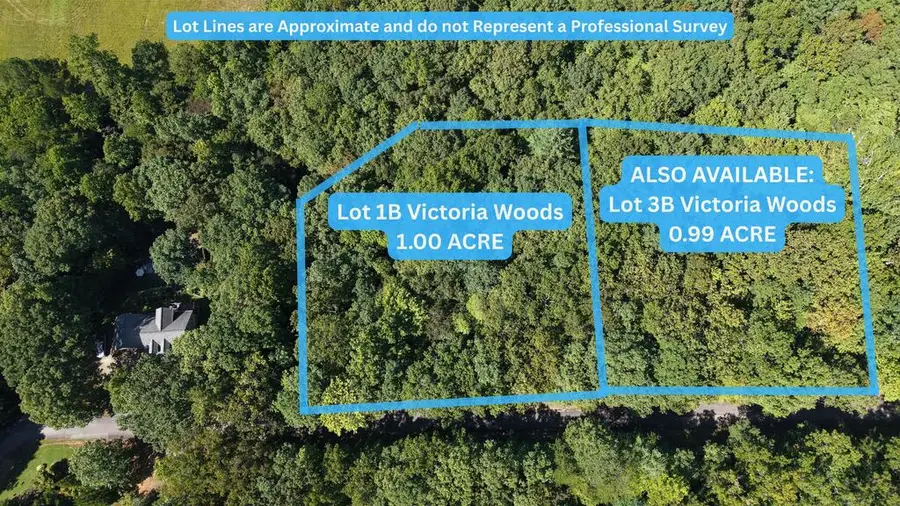 Lot 1B Victoria Woods, Hiawassee, GA 30546 - #2