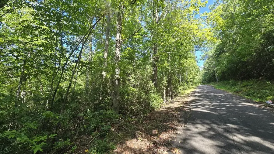 Lot 1B Victoria Woods, Hiawassee, GA 30546 - #3