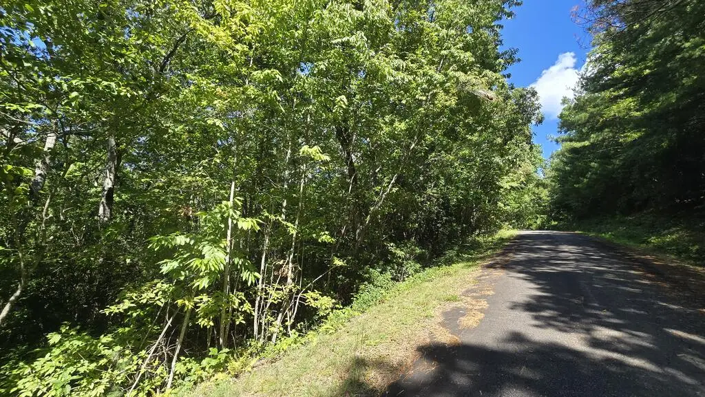 Lot 3B Victoria Woods, Hiawassee, GA 30546 - #1