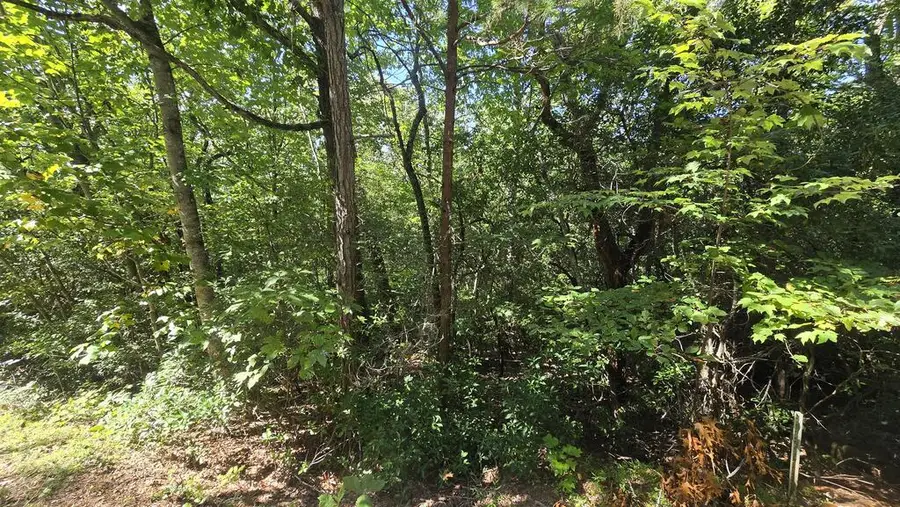 Lot 3B Victoria Woods, Hiawassee, GA 30546 - #3