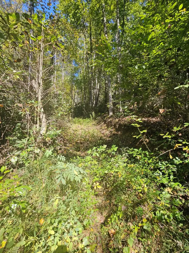 3563 Owl Creek, Murphy, NC 28906 - #2