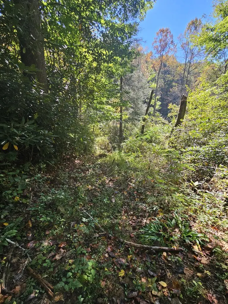 3563 Owl Creek, Murphy, NC 28906 - #3