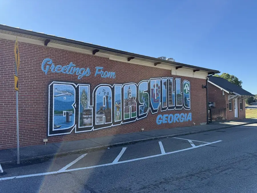 269 Kimsey Street, Blairsville, GA 30512 - #3