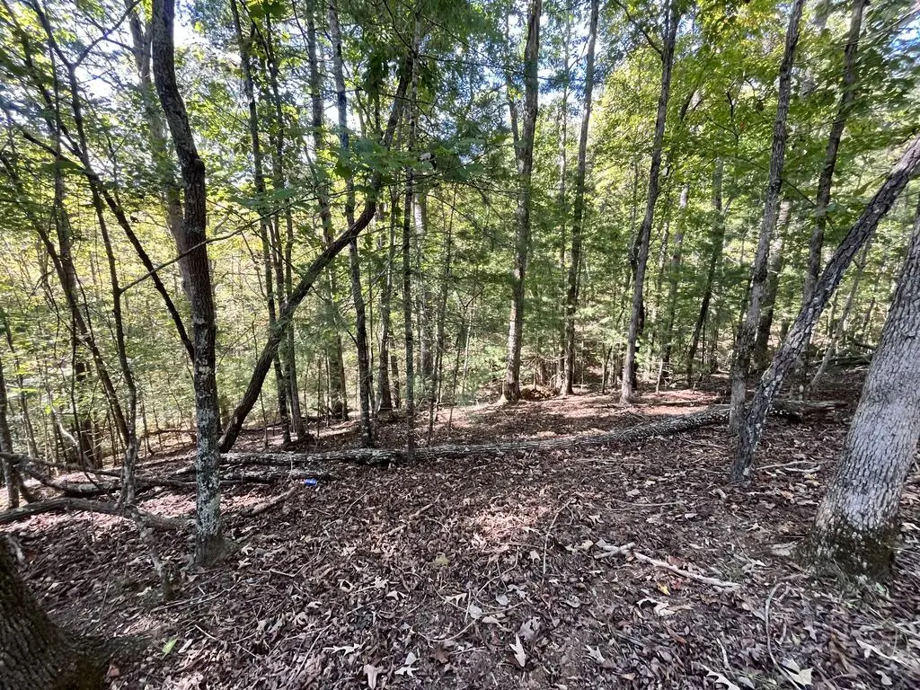 Lt 2532 Frigate Drive, Ellijay, GA 30540 - #1