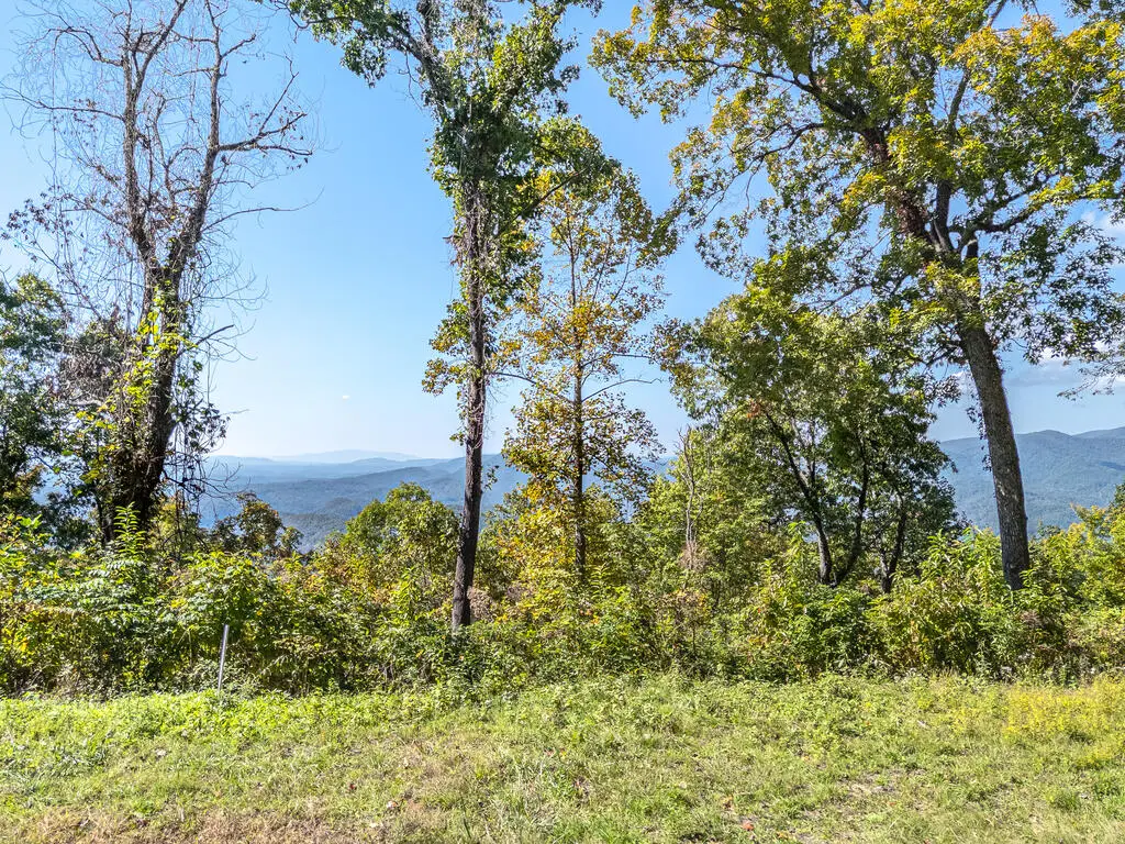 Lot 34 Wolf Knob Smt, Murphy, NC 28906 - #1