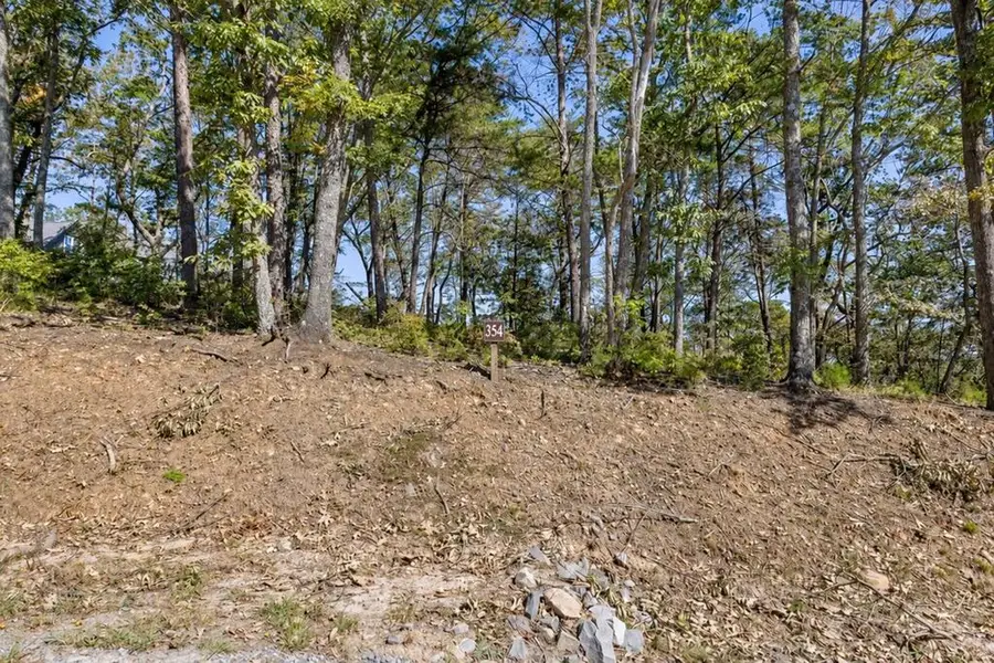 Lot 354 Calloway Mountain Road, Talking Rock, GA 30175 - #2