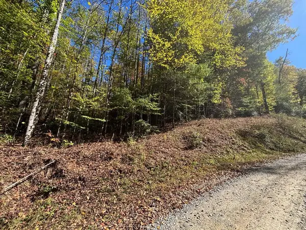 00 River Lane, Marble, NC 28905