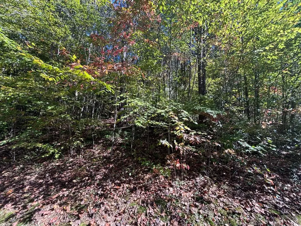 00 River Lane, Marble, NC 28905 - #1