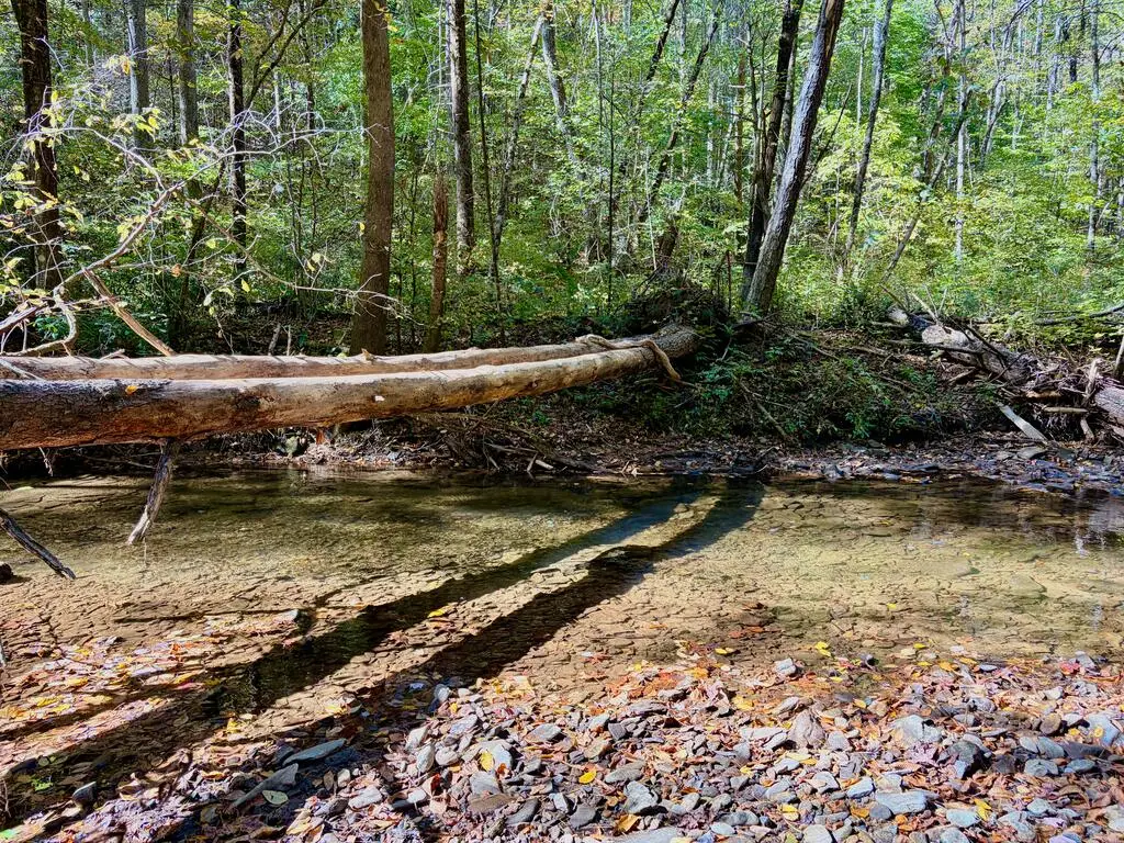 2.2 Acre Hatchet Creek Road, Blairsville, GA 30512 - #1