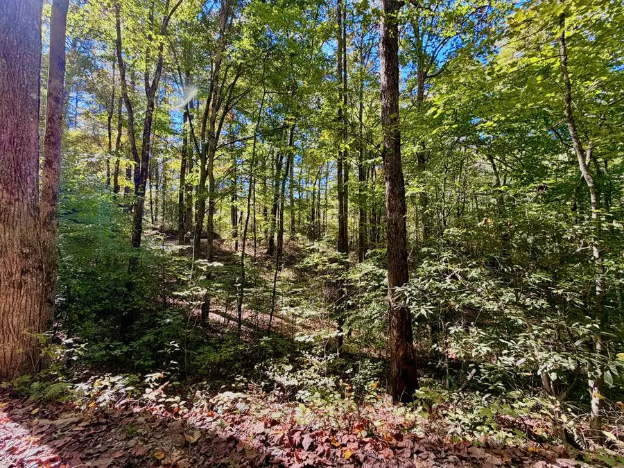 2.2 Acre Hatchet Creek Road, Blairsville, GA 30512 - #2