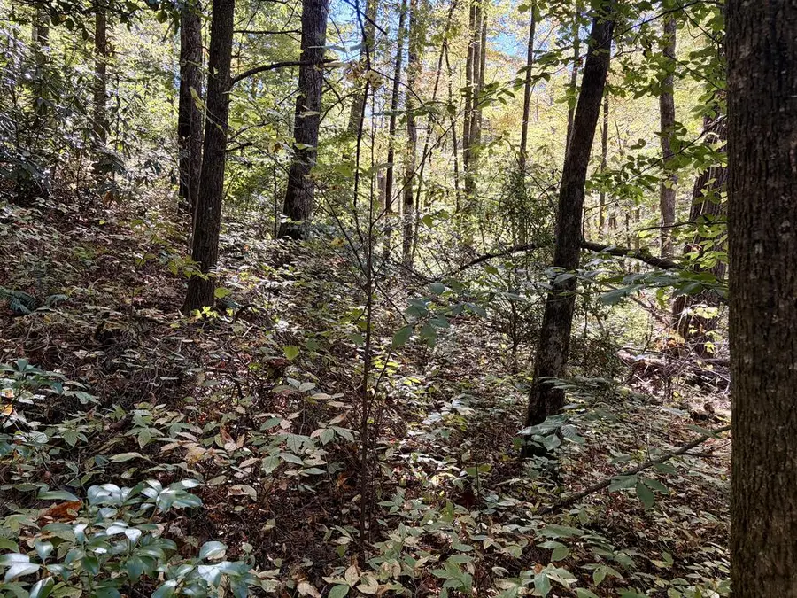 2.2 Acre Hatchet Creek Road, Blairsville, GA 30512 - #3