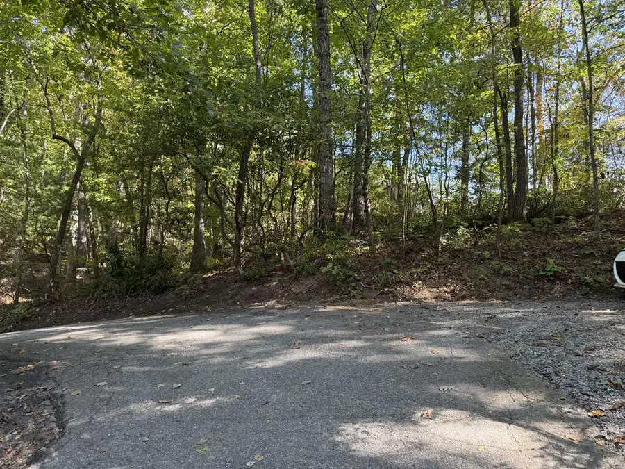 2.528 AC Amethyst Lane, Hiawassee, GA 30546 - #3
