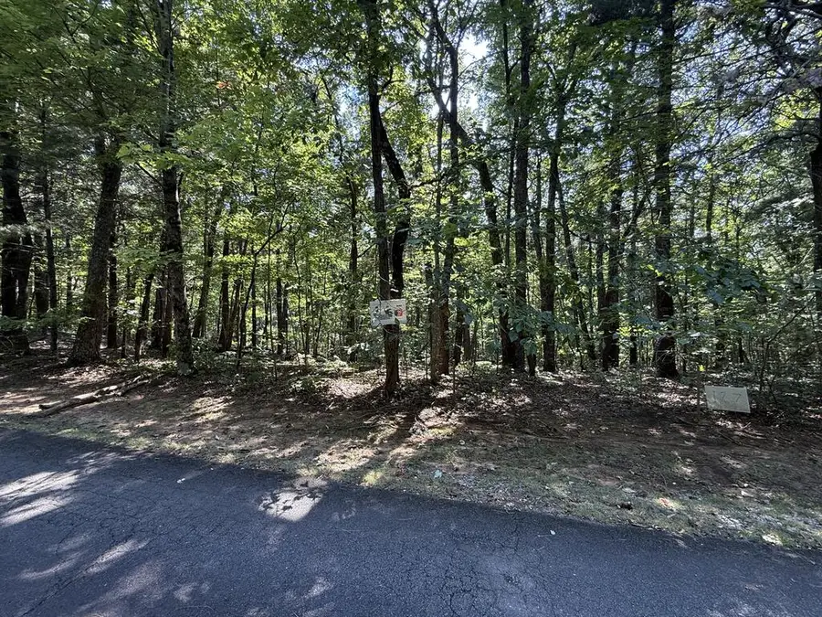 127 Green Cabin Way, Talking Rock, GA 30175 - #3