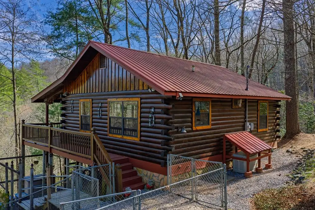 216 Pig Trail, Cherry Log, GA 30522 - #1