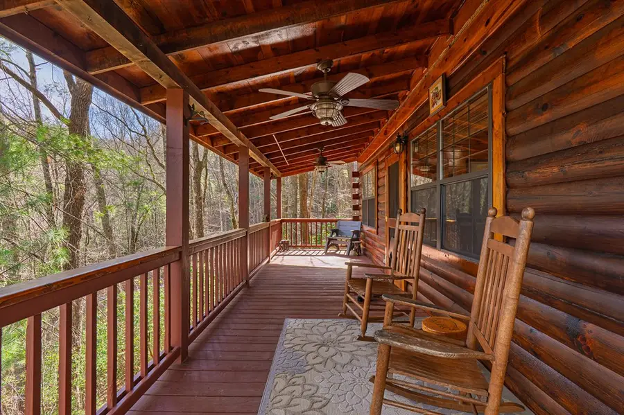216 Pig Trail, Cherry Log, GA 30522 - #3