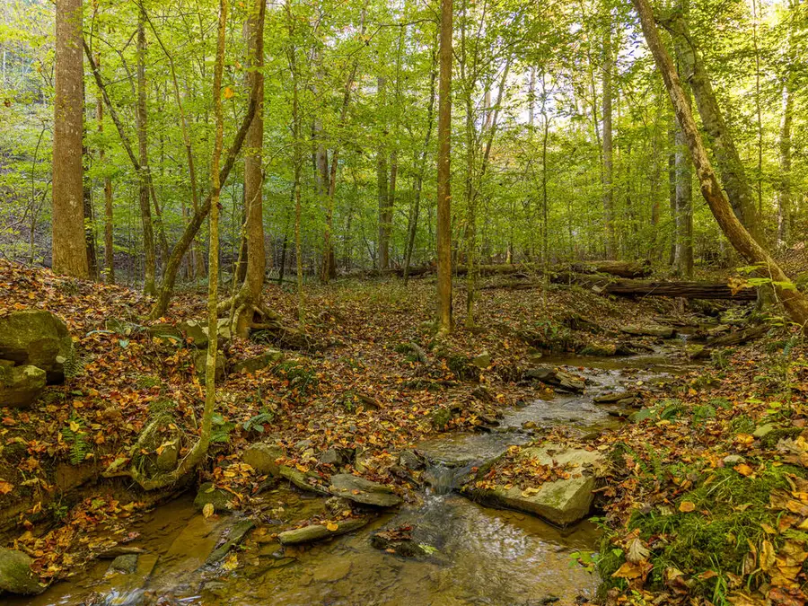 30 Chancel Circle, Ellijay, GA 30540 - #2