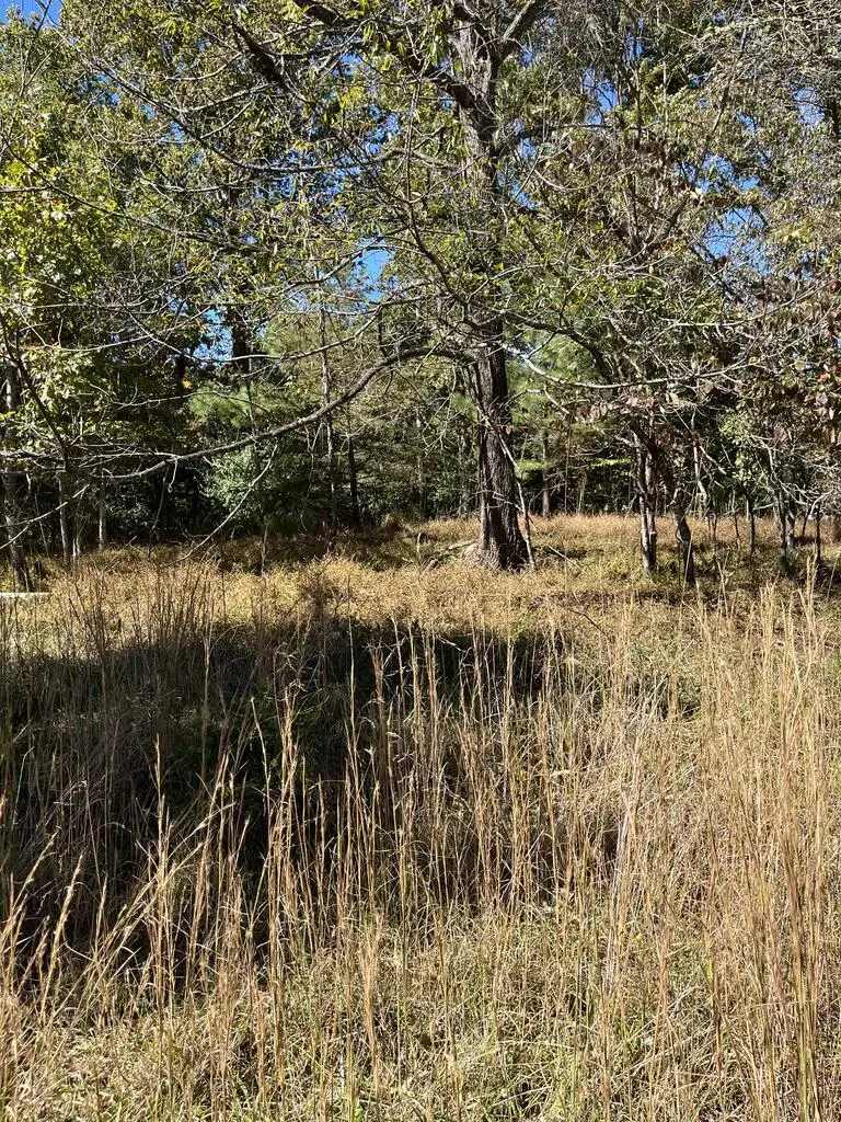 Lot 41 Crestwood Drive, Blairsville, GA 30512 - #1