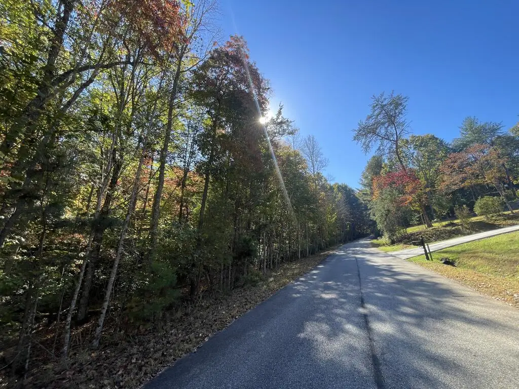 Lot 106 Red Maple Lane, Blairsville, GA 30512 - #1