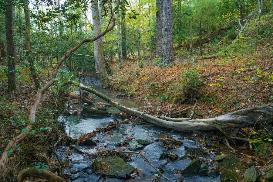 Lot 162 Lecroy Drive, Ellijay, GA 30540 - #2