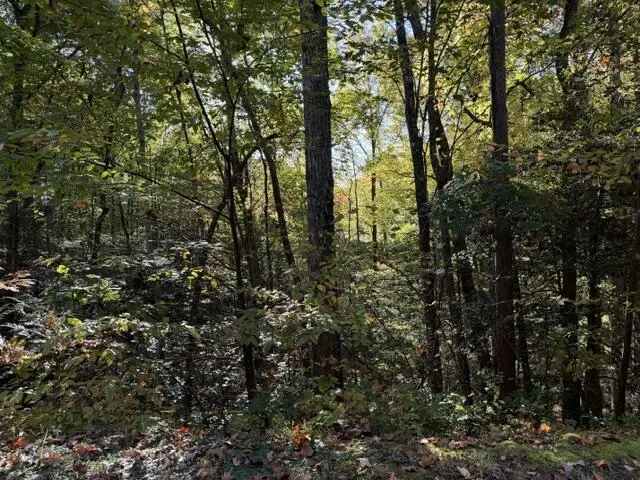 Lot 30 Westwood Run, Epworth, GA 30541 - #3