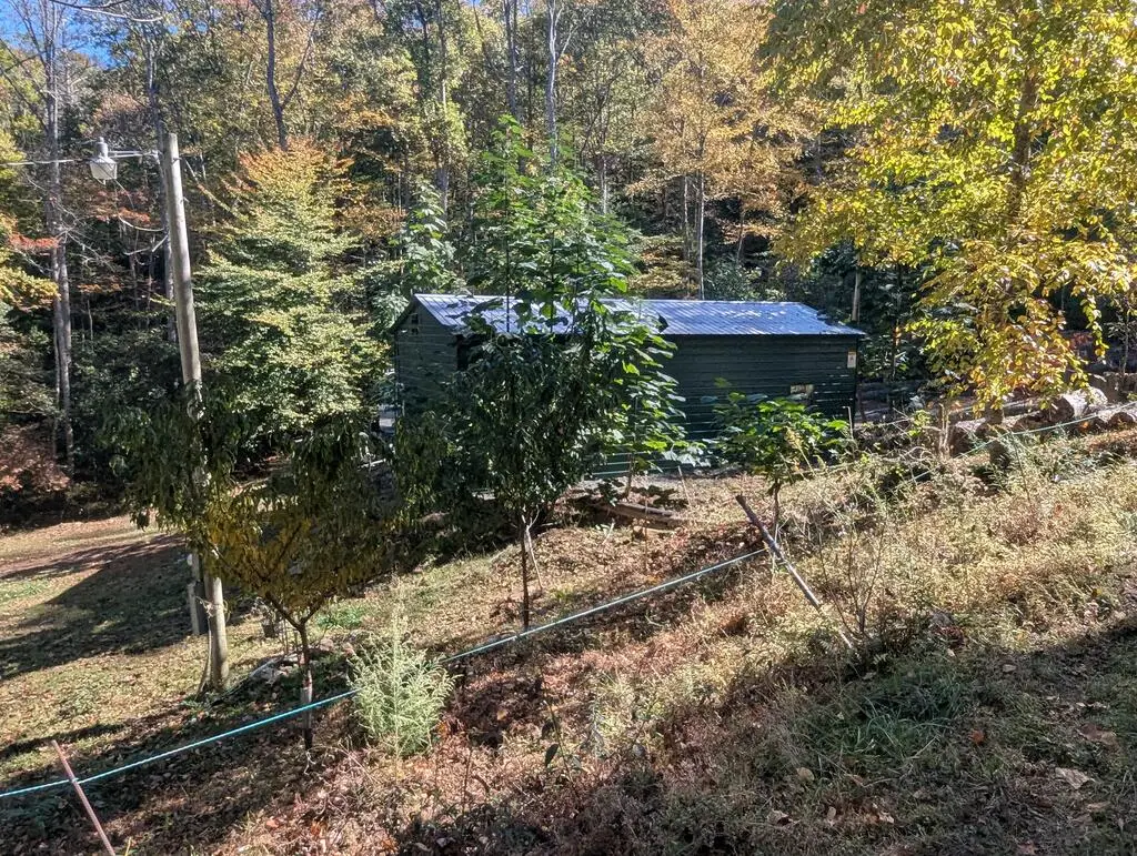 4720 Jones Gap Road, Hiawassee, GA 30546 - #1