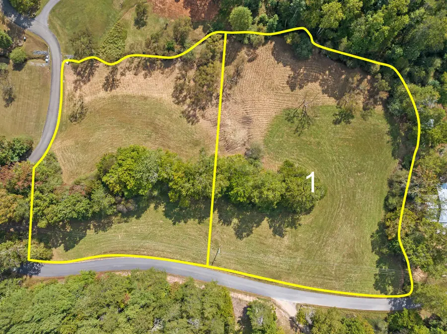 Lot 1 Premier Drive, Blue Ridge, GA 30513 - #2