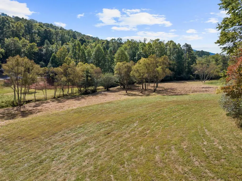 Lot 2 Premier Drive, Blue Ridge, GA 30513 - #1