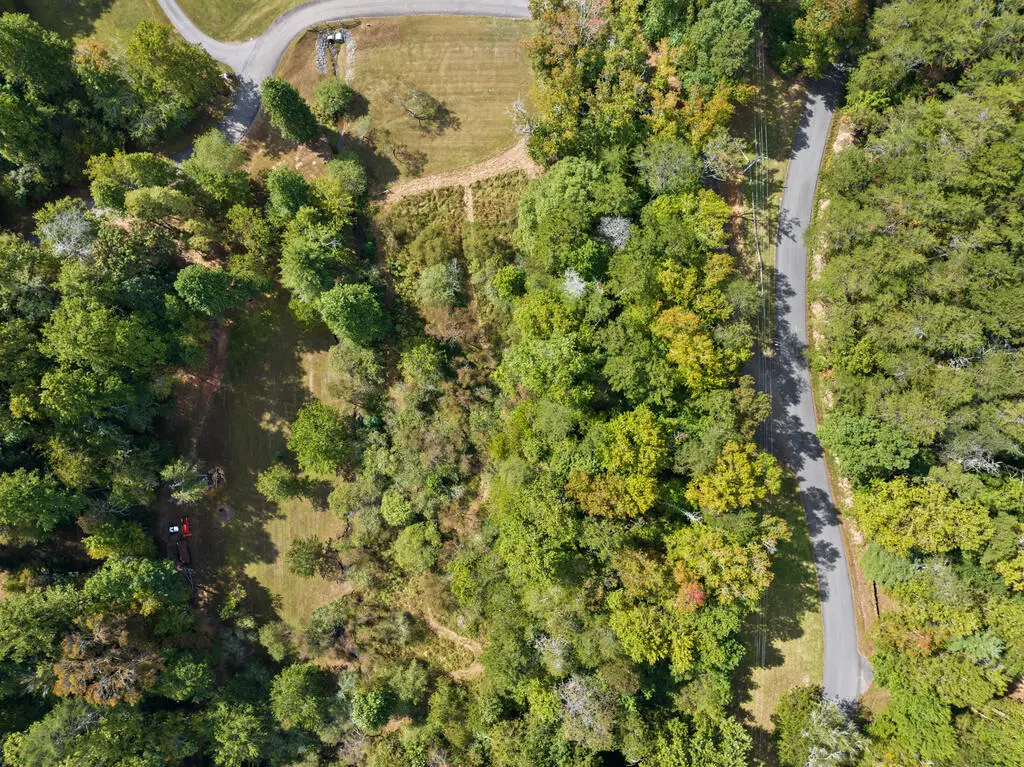 Lot 3 Premier Drive, Blue Ridge, GA 30513 - #1