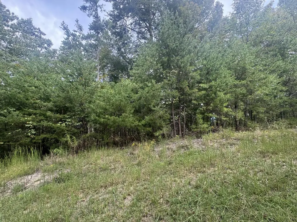 Lt1301 Arrow Court, Ranger, GA 30734 - #1