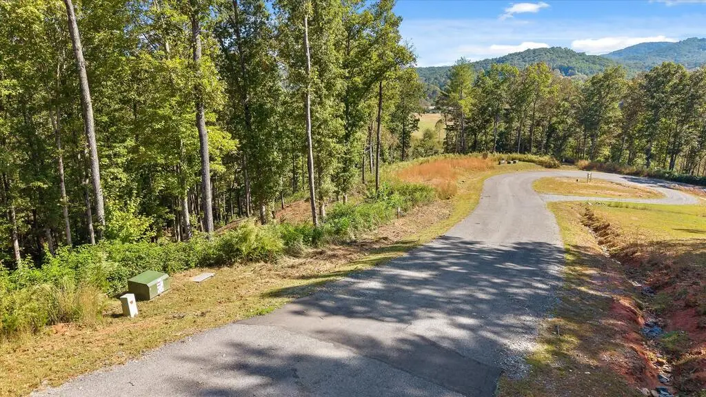 Lot 58 Ridge Dr, Morganton, GA 30560 - #1