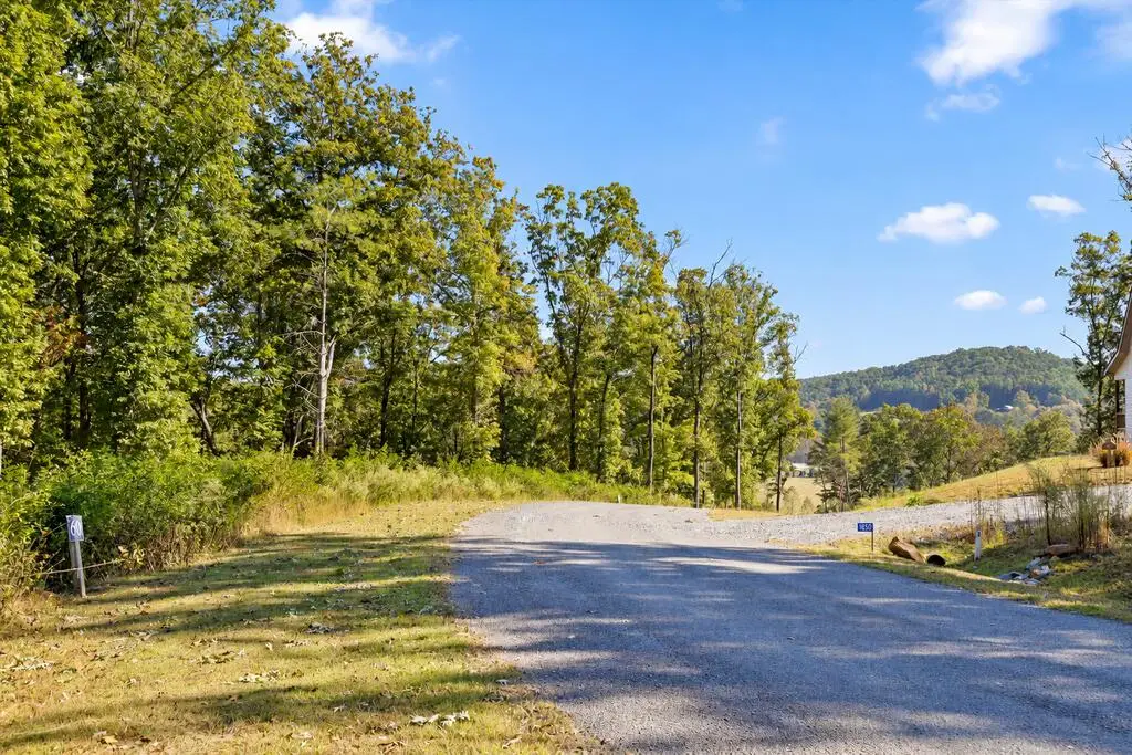 Lot 60 Ridge Dr, Morganton, GA 30560 - #1