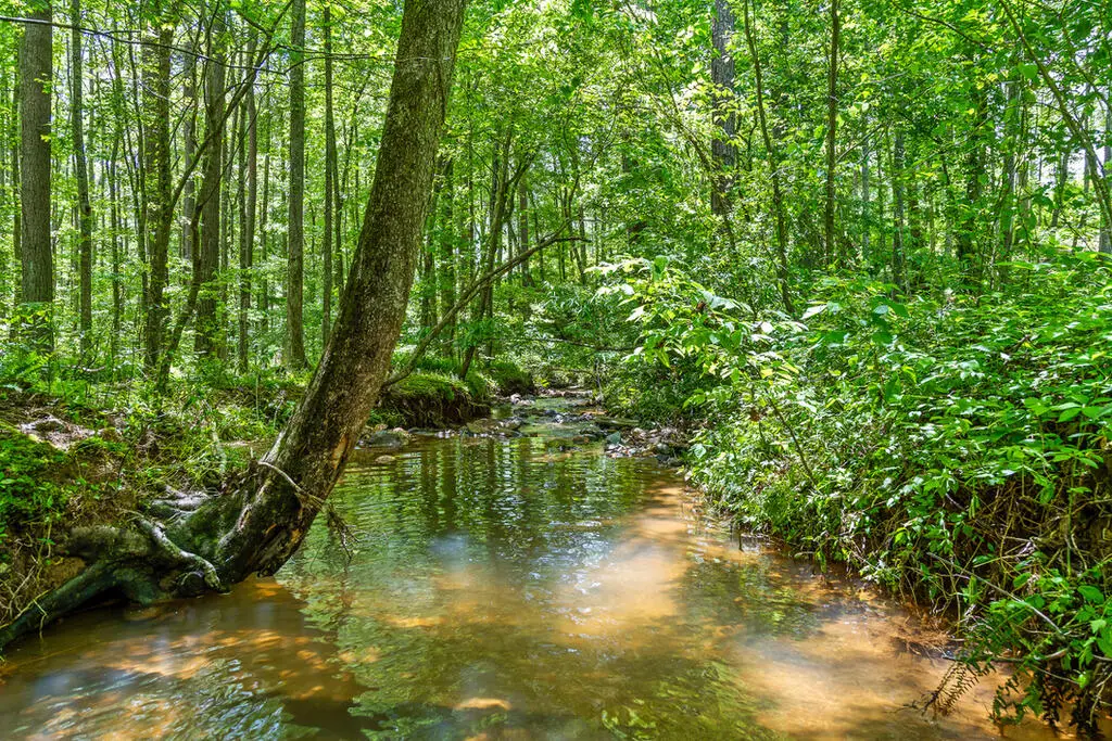 Lot 454 Woodward Way, Talking Rock, GA 30175 - #1