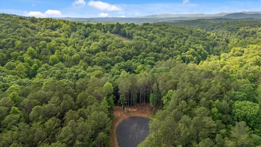 Lot 454 Woodward Way, Talking Rock, GA 30175 - #3