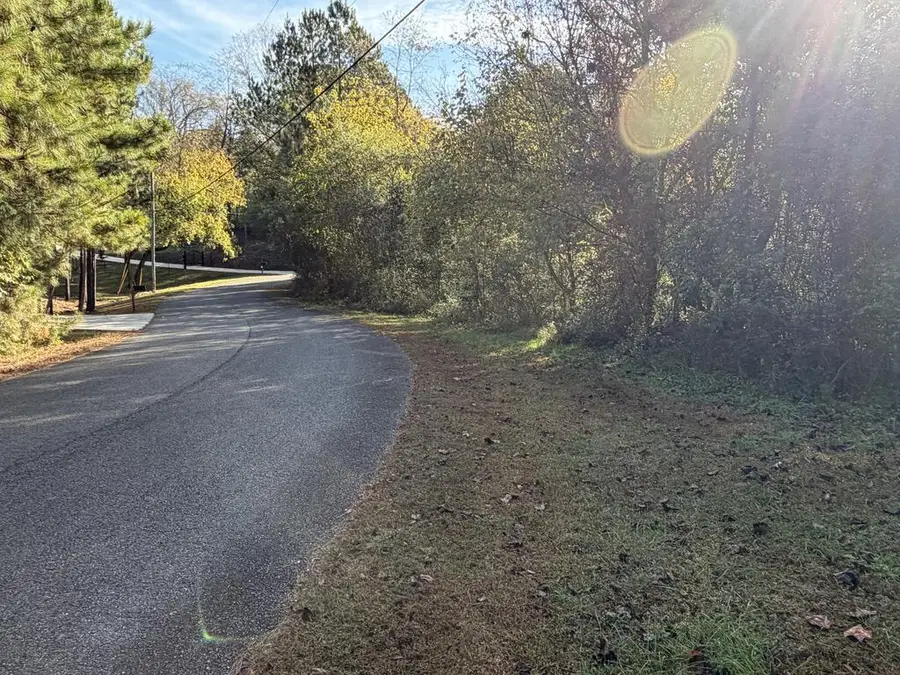 Lt 5 Leyland Heights Sd, Ellijay, GA 30540 - #2