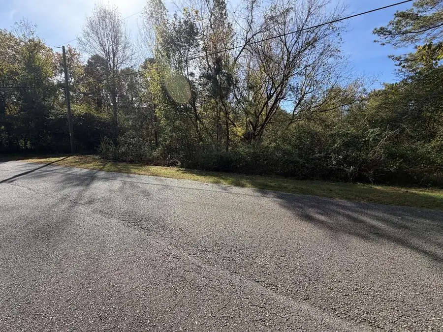 Lt 5 Leyland Heights Sd, Ellijay, GA 30540 - #3