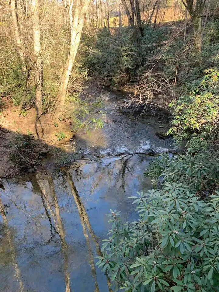 4300 Lickskillet Road, Blue Ridge, GA 30513 - #2