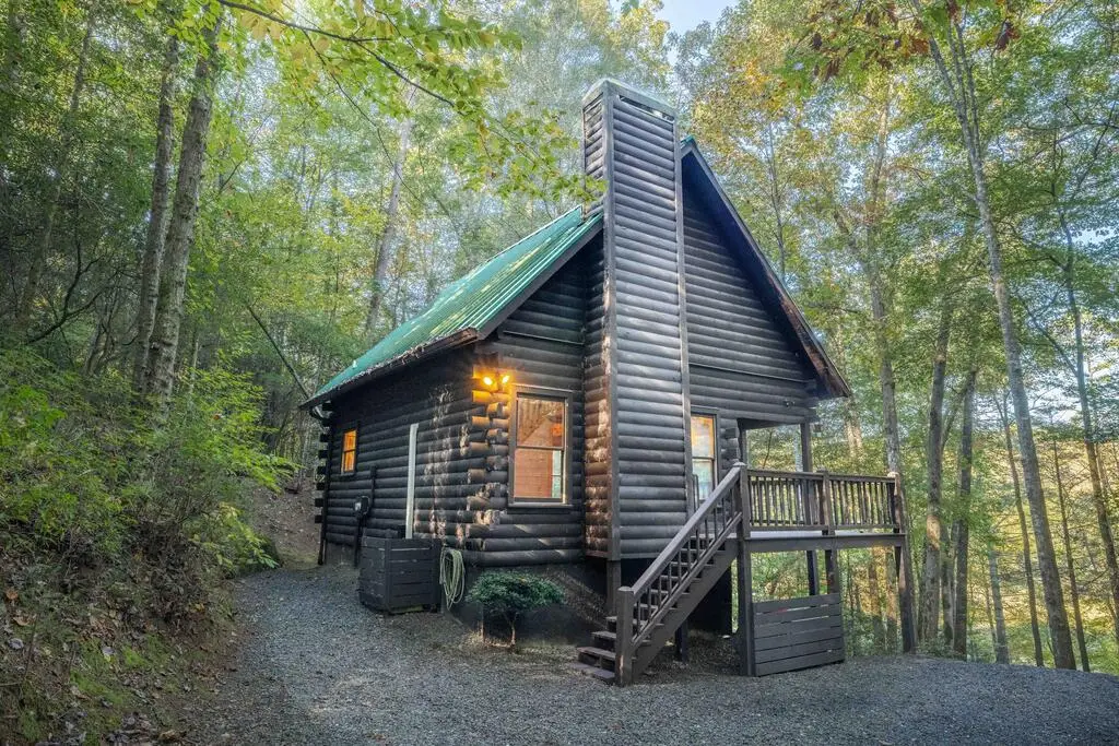 226 Pinetree Drive, Blue Ridge, GA 30513 - #1
