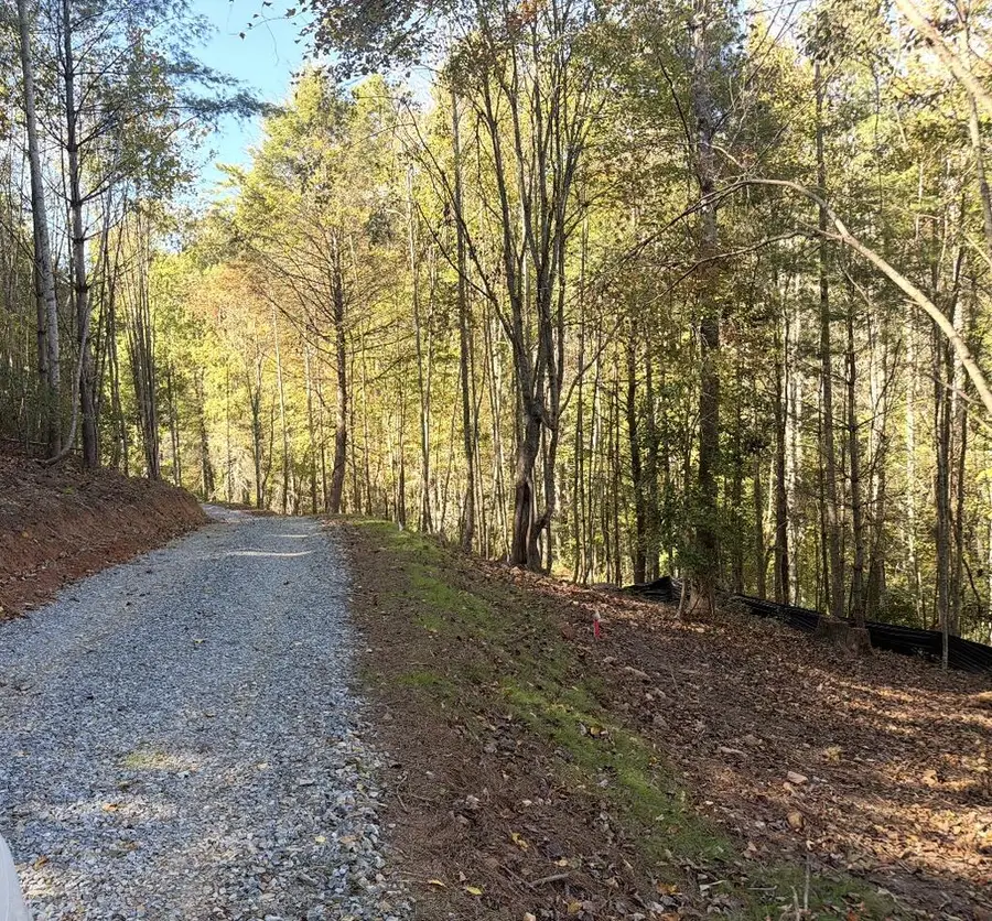 lot 2 Toccoa Shoals, Blue Ridge, GA 30513 - #2